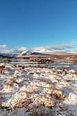 Rannock Moor
